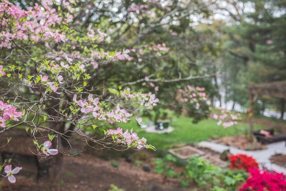 The Applewood Manor Bed & Breakfast Asheville Exterior photo